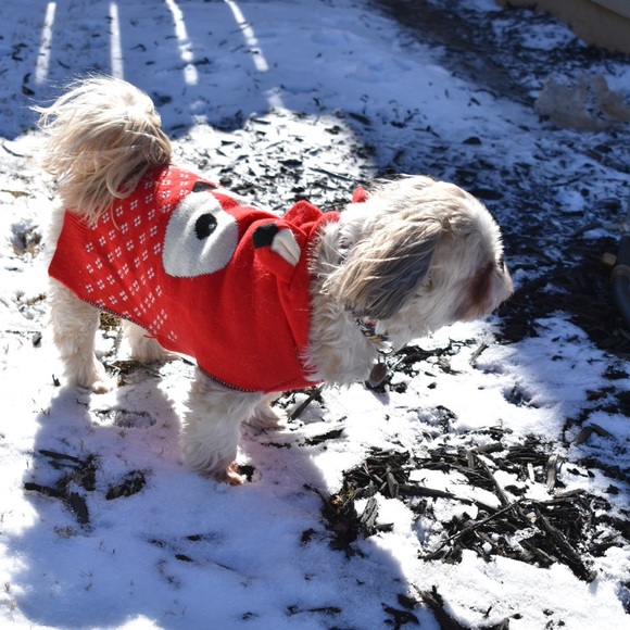 Hi! - Picture 5 of 5